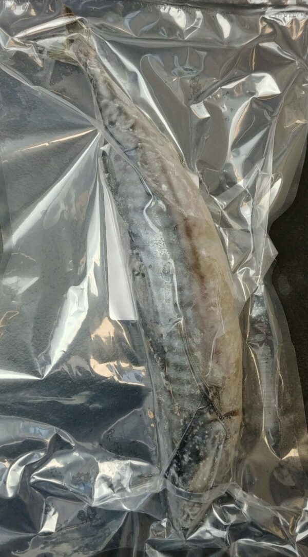 Whole Mackerel