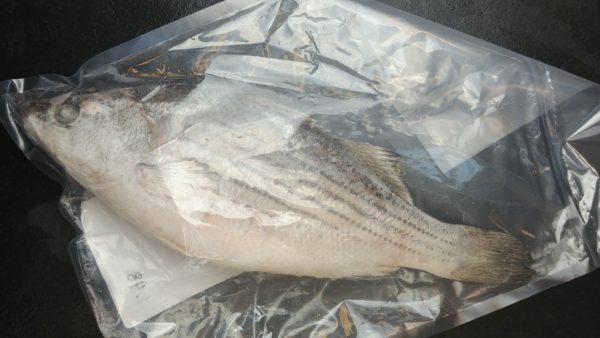 Whole Striped Bass