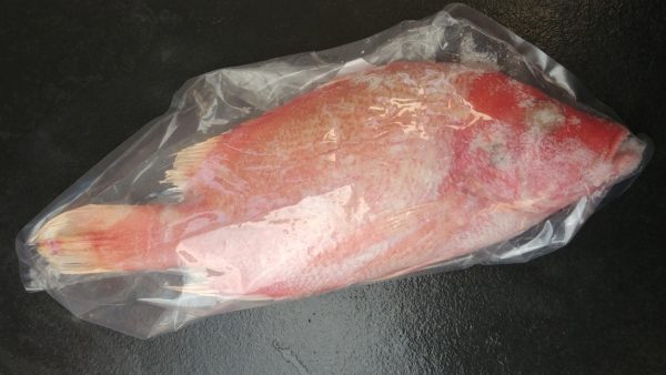 Whole Snapper