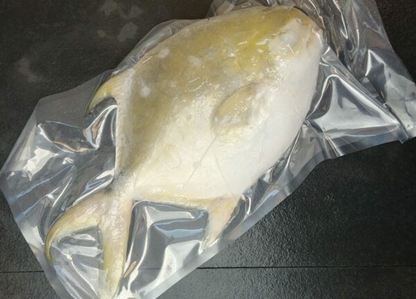 Whole Golden Pompano