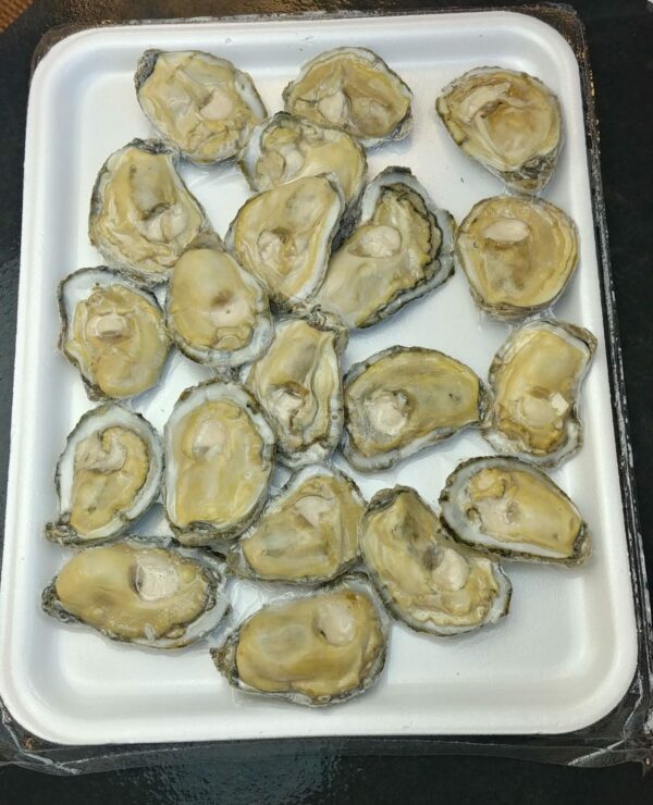 Oysters on the Half Shell