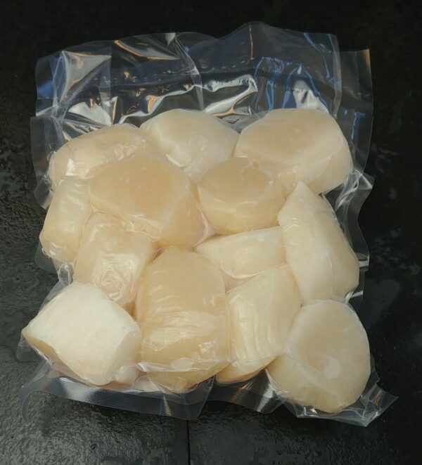Freshly Frozen Dry Scallops (10-20ct)