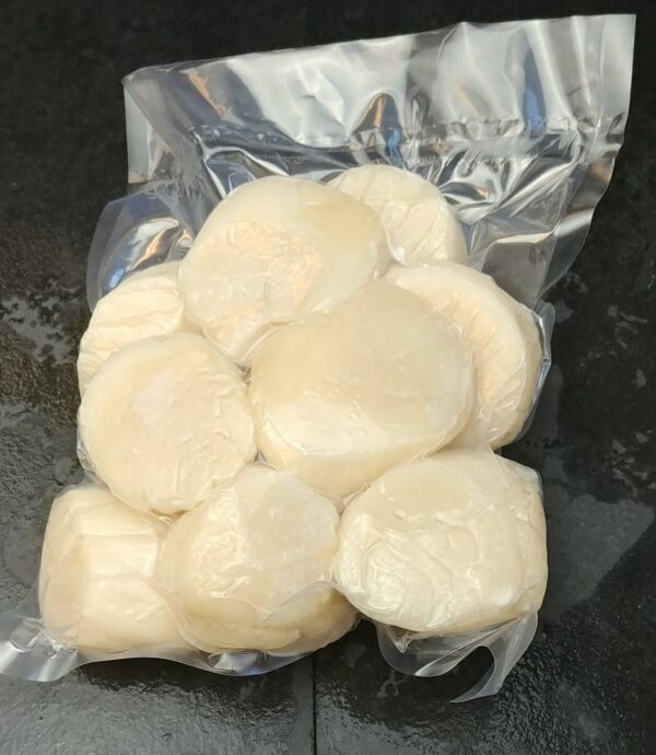 Freshly Frozen Dry Scallops (U-12ct)