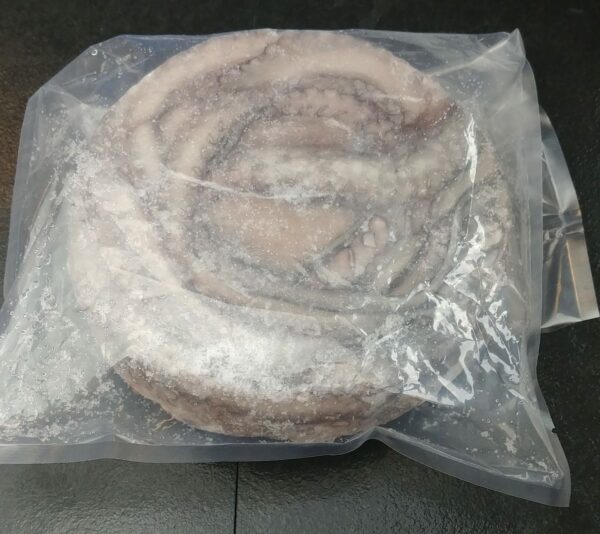 Whole Raw Octopus (1-3#)