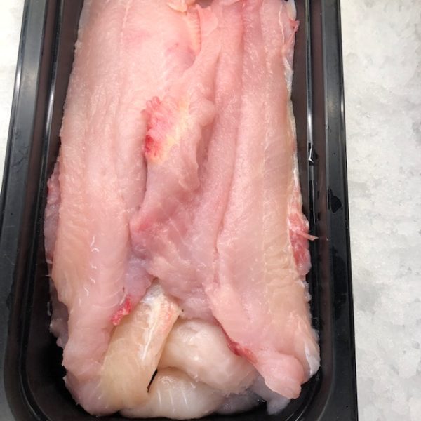Fresh Catfish
