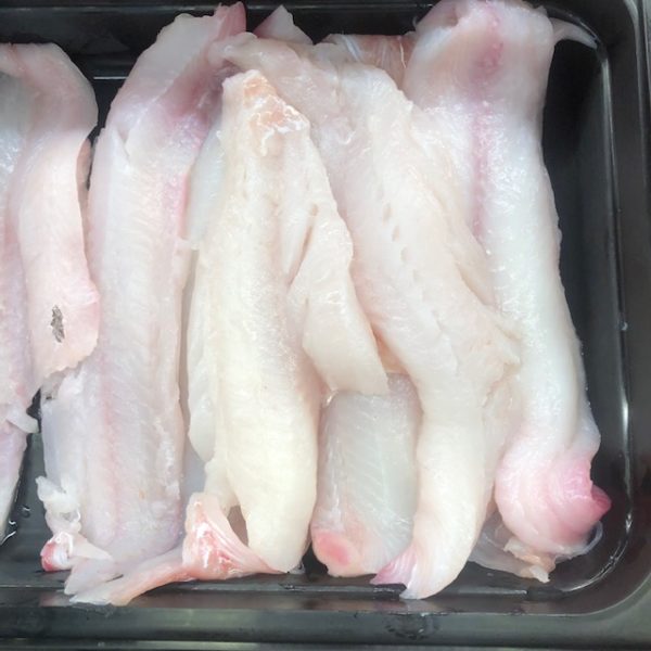 Fresh Haddock