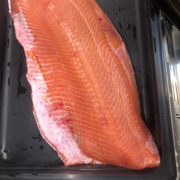 Fresh Steelhead