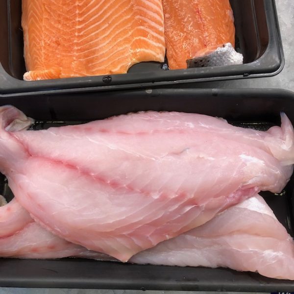 Fresh Grouper