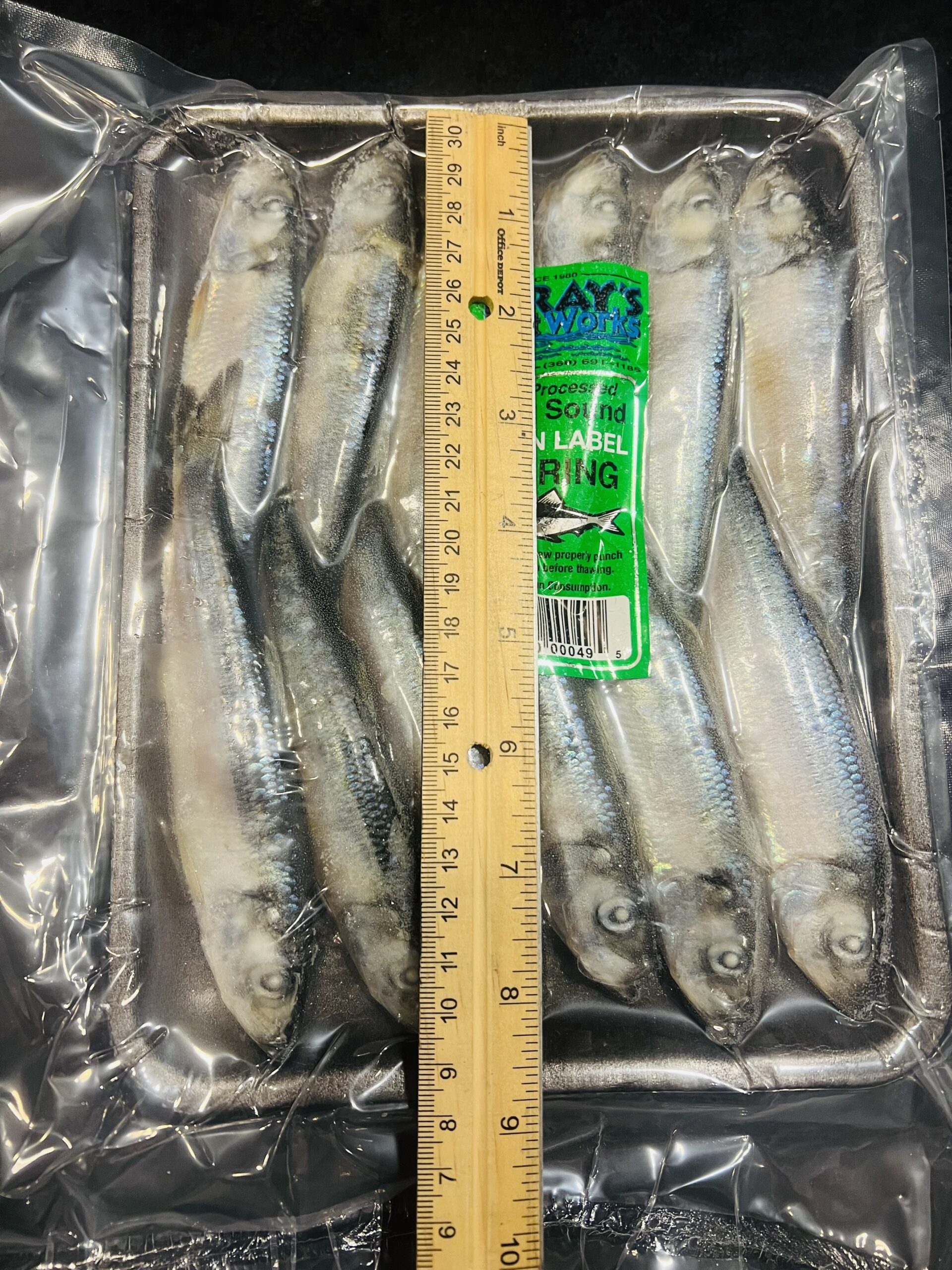 (BAIT ONLY) Whole Herring