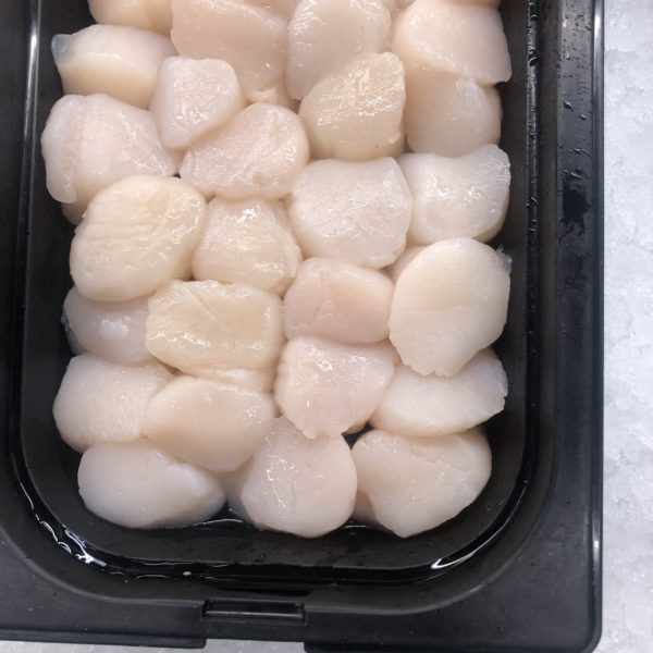 Fresh 10-20 Scallops