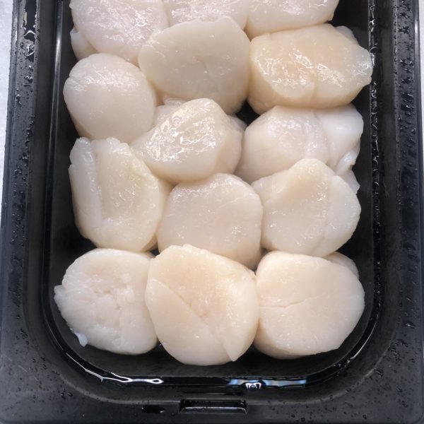 Fresh U12 Scallops