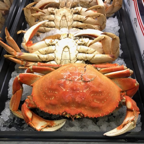 Fresh Dungeness Crab