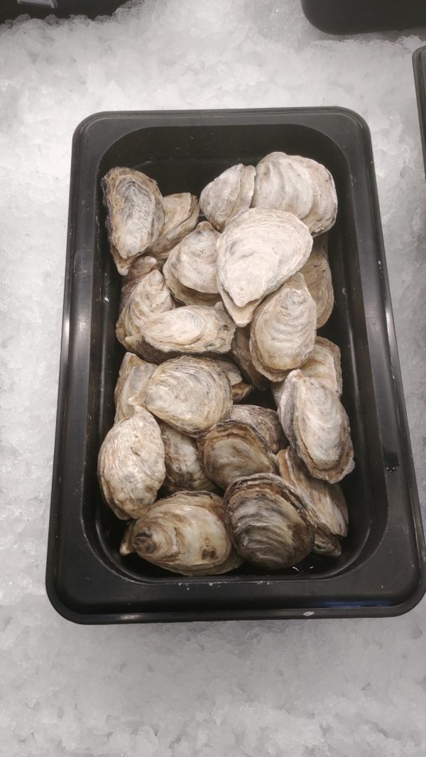 Fresh Kusshi Oysters