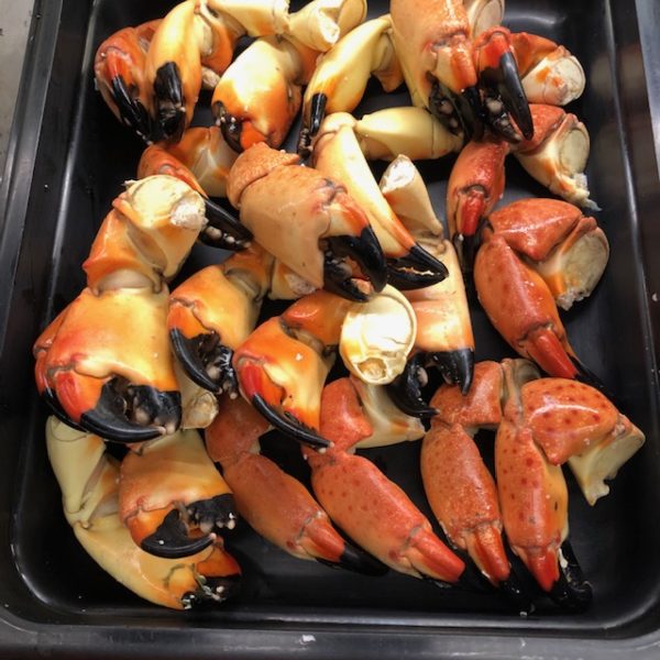 Fresh Stone Crab Claws