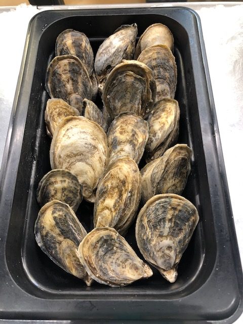 Fresh Tide Point Oysters - Seafoods of the World | Fresh Fish Market