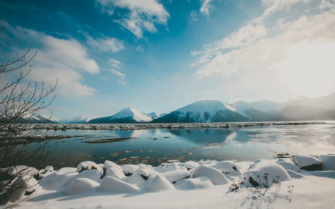 The Wild Alaskan Seafood Industry