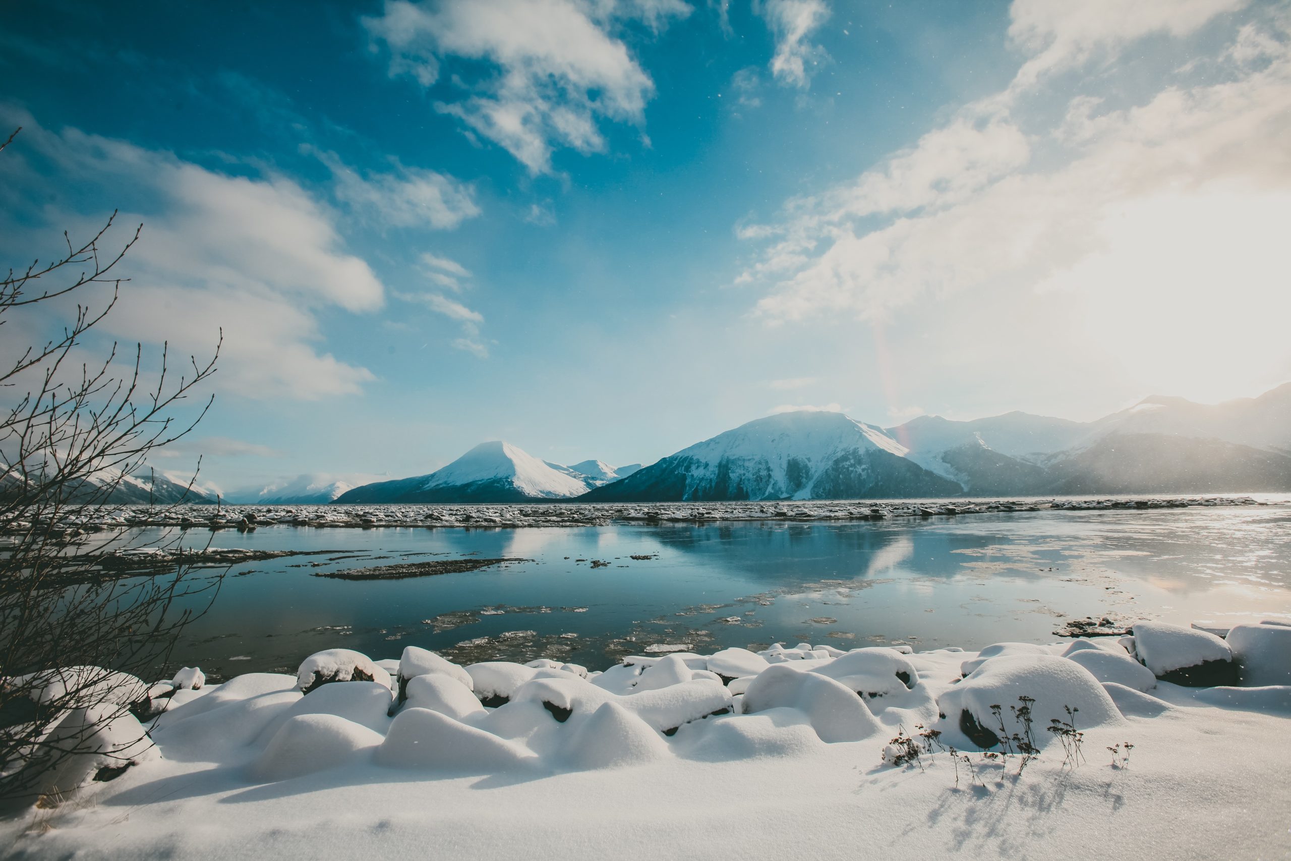 The Wild Alaskan Seafood Industry