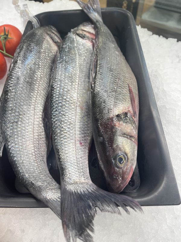 Fresh Whole Bronzini