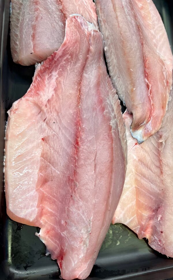 Fresh Barramundi