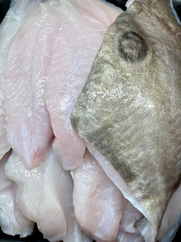 Fresh John Dory