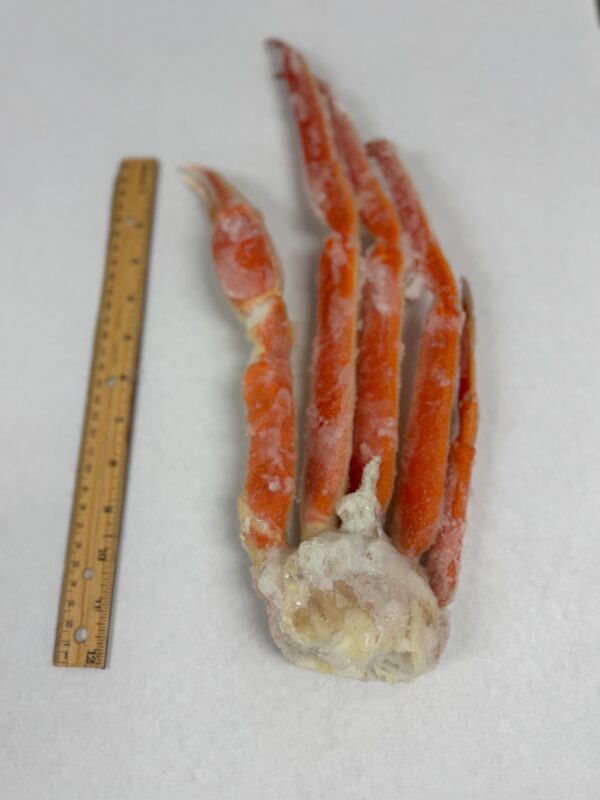Jumbo Bairdi Snow Crab Clusters (3 LB)