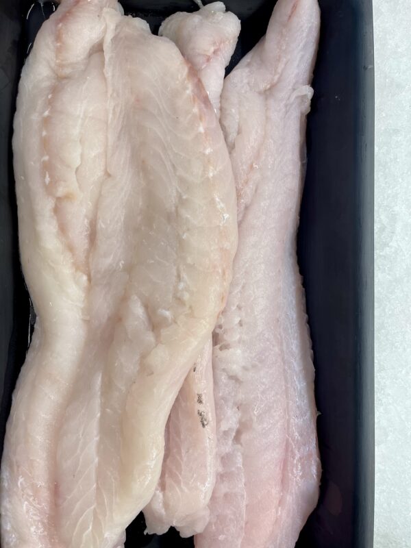 Fresh True Pacific Cod